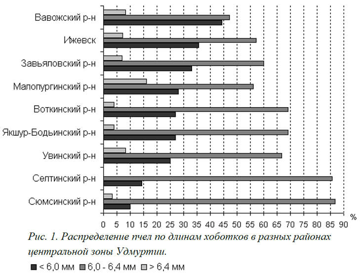 Распределение пчел по длинам хоботков
