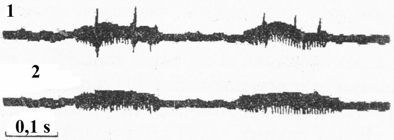 Электроответ трихоидной сенсиллы