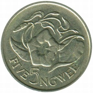 5 нгвее из Замбия