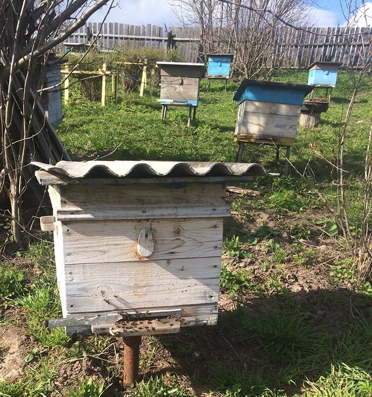 Ульи весной