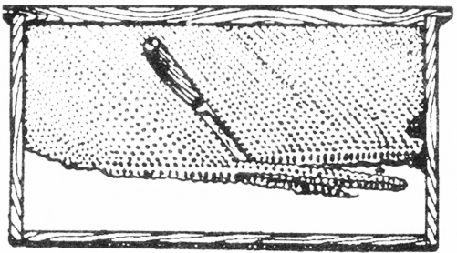Раскройка сота с молодыми личинками