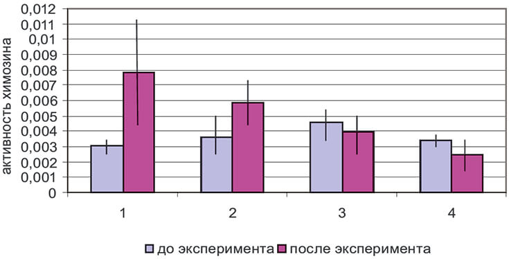Активность химозина среднего кишечника пчел