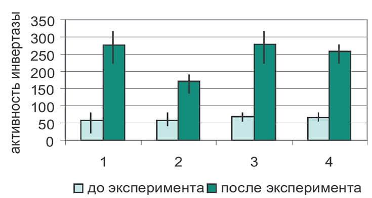 Активность инвертазы слюнных желез пчел