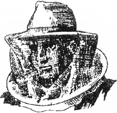 сетка пчеловода