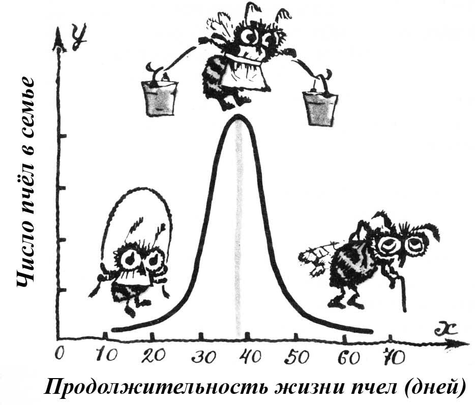 Статистика пчеловода - это возможность оценить степень объективности