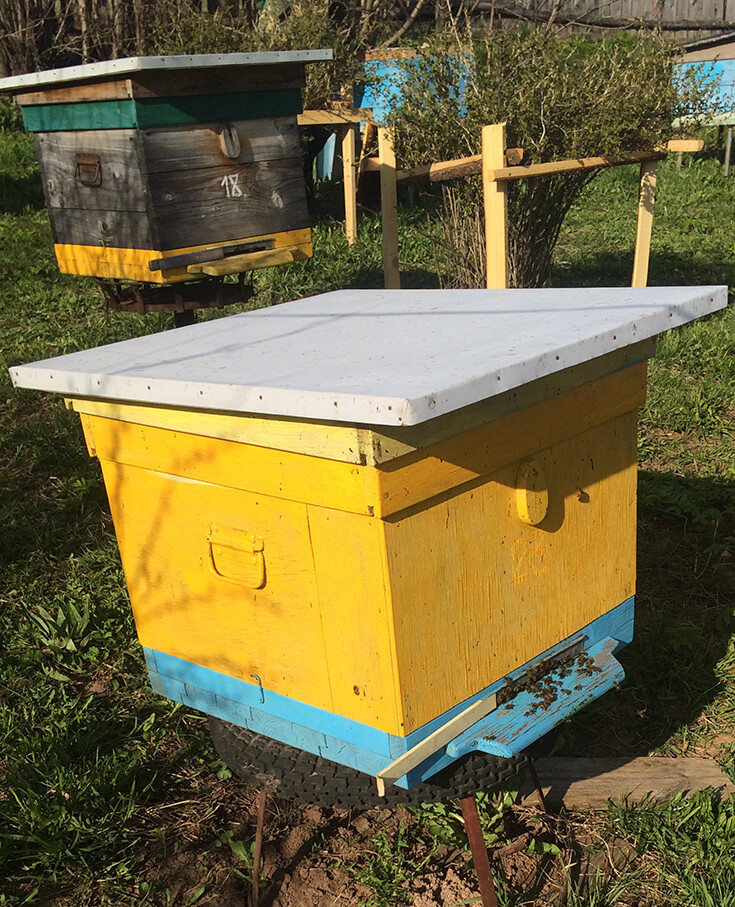 Улей на пасеке