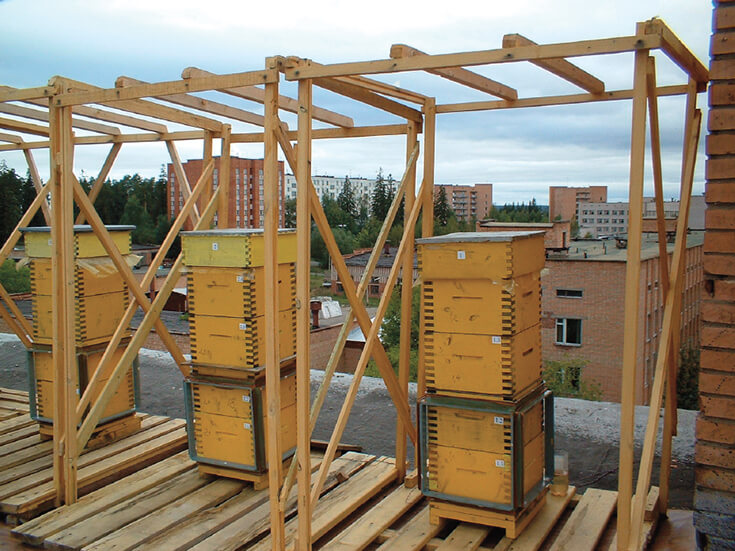 Экспериментальные улья на пасеке