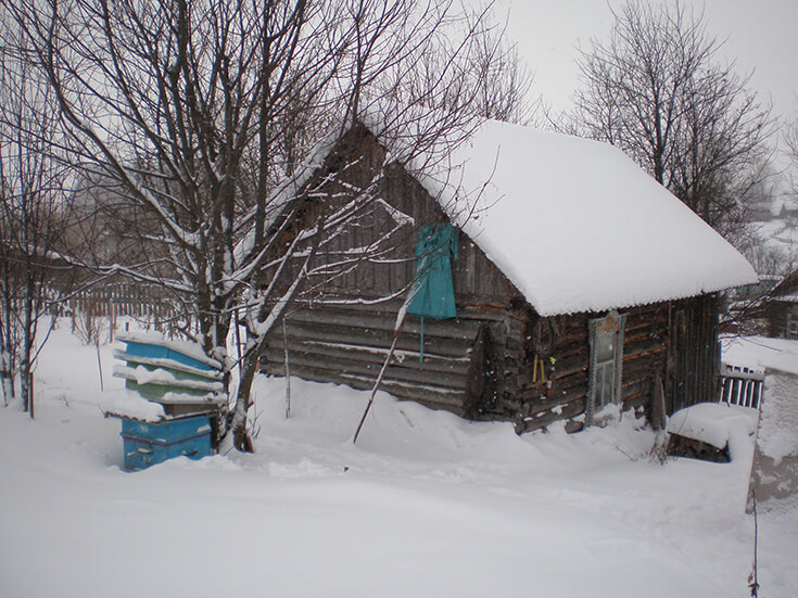 Омшаник зимой
