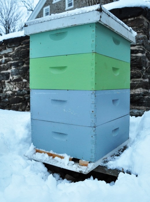 Улей пчелиный на снегу